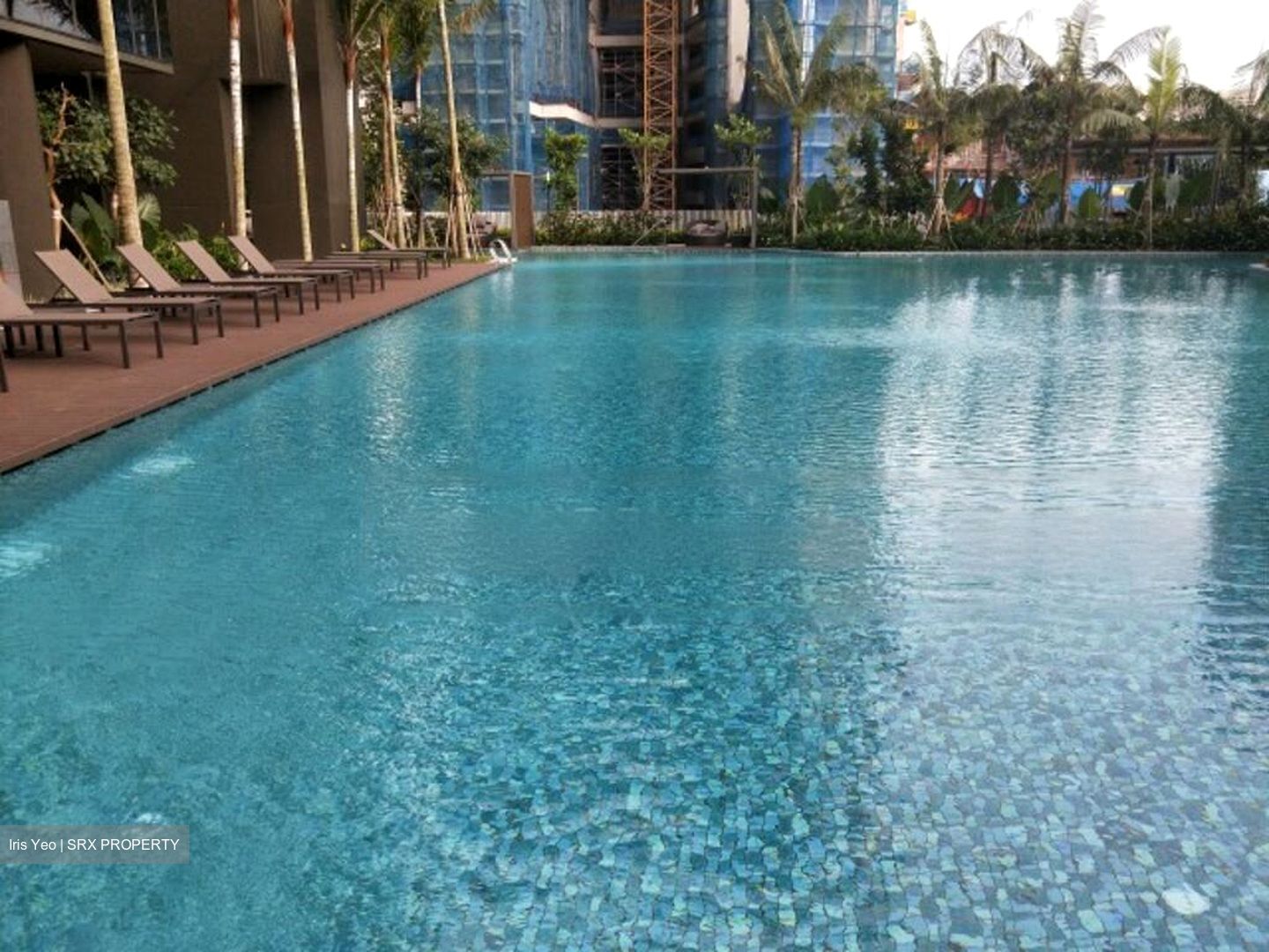 Commonwealth Towers (D3), Condominium #460646481